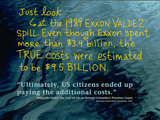 One big spill could wipe out B.C.’s entire tax revenue of $1.2 billion -- which is forecast over 30 years; writing by Franke James; Dogwood Initiative 'No Tankers Loonie Decal'; Photo 'Ultimately, US citizens ended up paying the additional costs.' source: What’s at Stake? the Cost of Oil on British Columbia’s Priceless Coast; Raincoast Conservation Foundation. 2010.