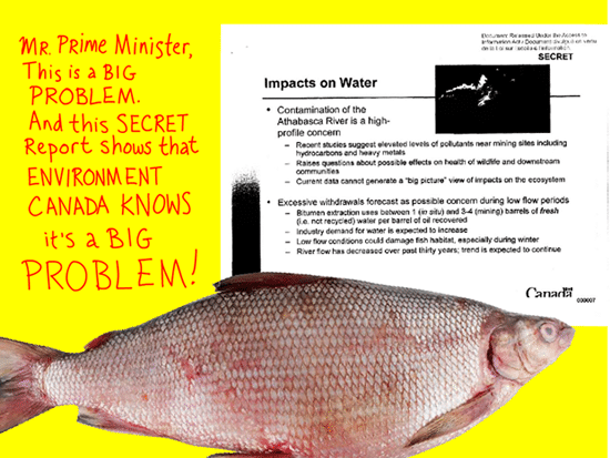 Mr. Prime Minister, This is a BIG problem. And this secret report shows that Environment Canada KNOWS it is a big problem; photo-illustration by Franke James