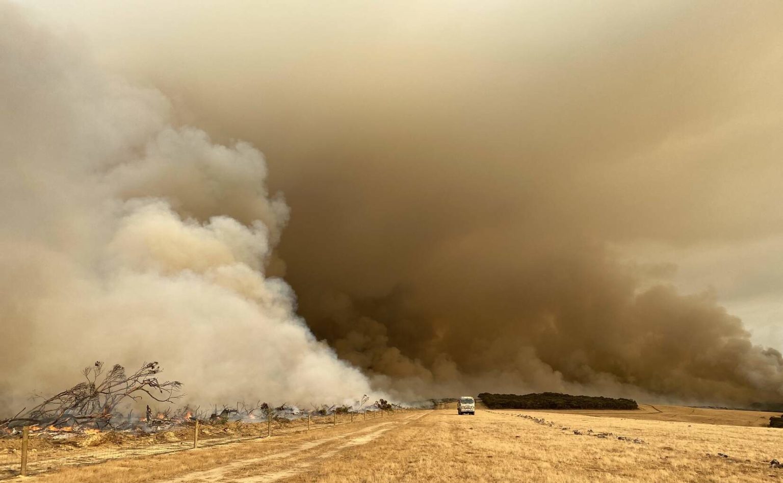 læsning undulate når som helst Debunked Australian Bushfire Conspiracy Theories Were Pushed by Alex Jones,  Murdoch Media - DeSmog