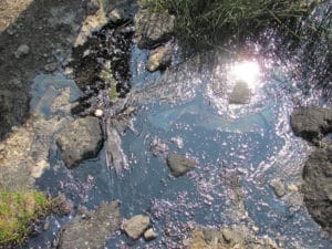 The remains of a bird are mired in an oily pool at the site of a tar sands test mine. (Courtesy of Before It Starts).