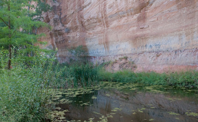 seeping groundwater