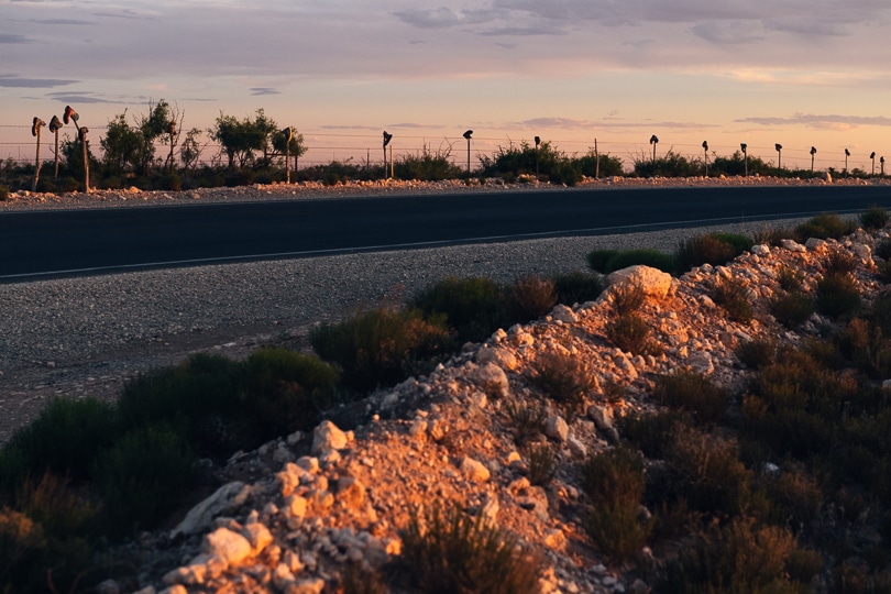 Work boots are hung on fence posts of barbed wire along a rural highway at sunset.