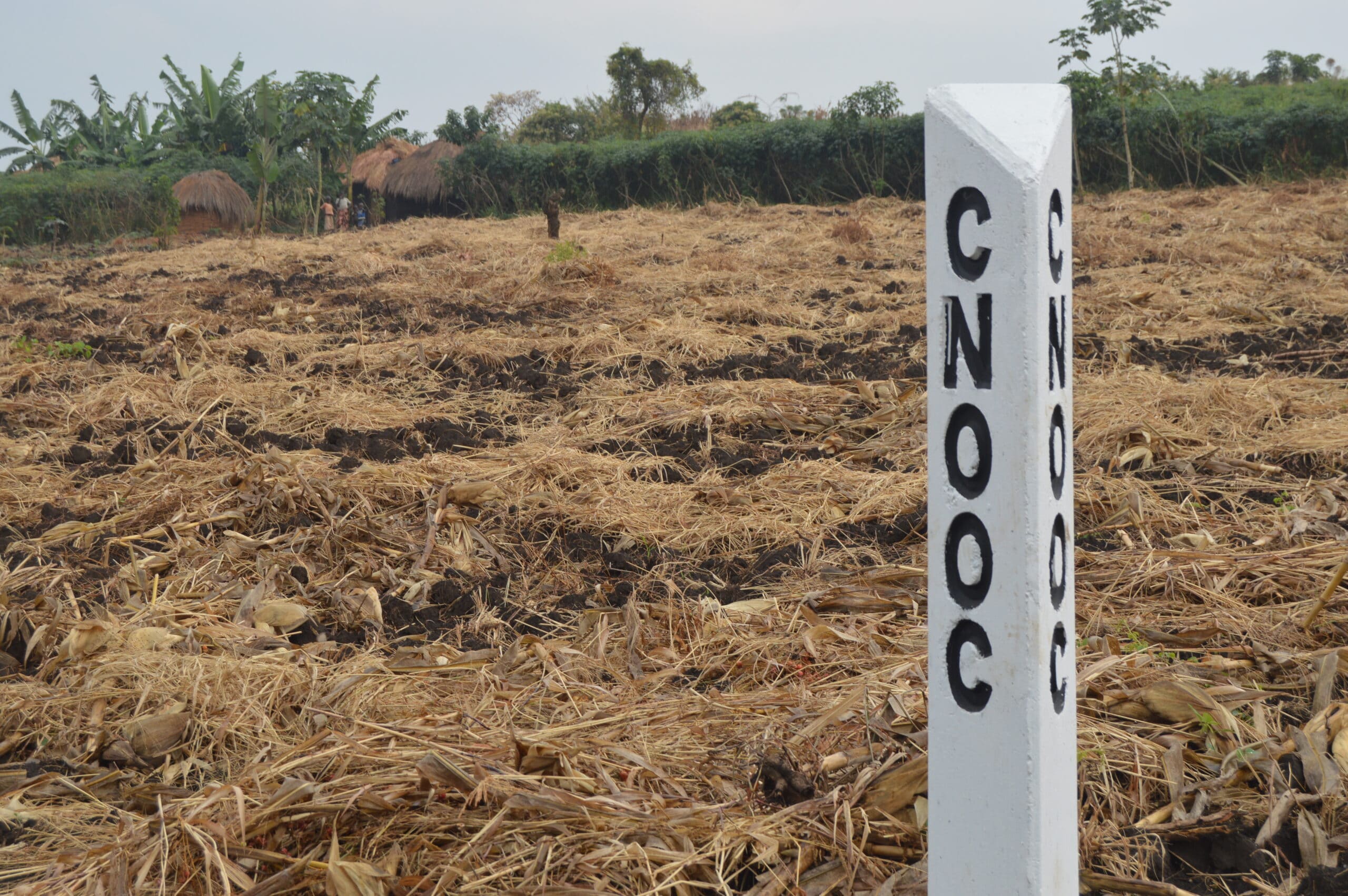 photo of Ugandan Farmers Whose Land Will Soon Become a Crude Oil Pipeline Pathway Lose Years of Livelihood image