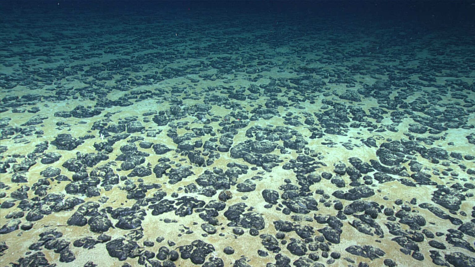 The deep-sea floor covered in small rounded grayish rocks on a sandy bottom