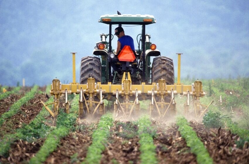 a farmer operating a tractor through rows of a field