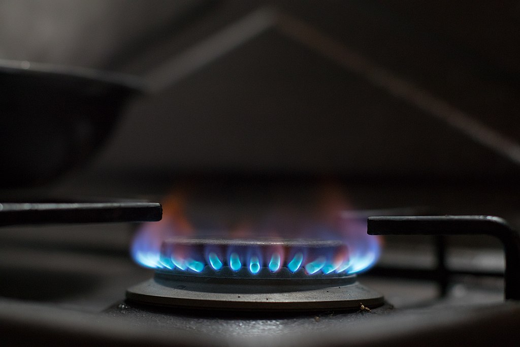 The ring of flame from a gas range glows blue.