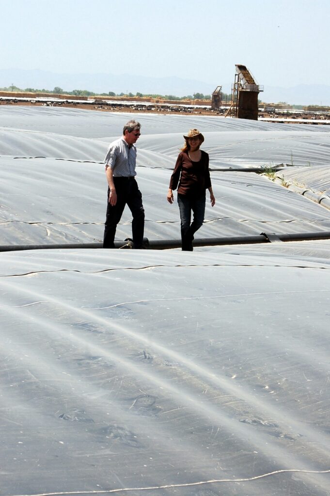 A man and woman walk over the billowing black tarp covering a dairy manure lagoon that is capturing methane gas.