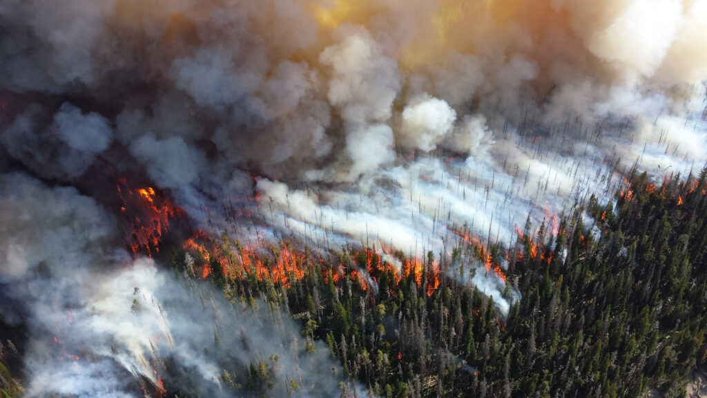 Aerial view of crown fire and streams of smoke in an evergreen forest in Yellowstone National Park.