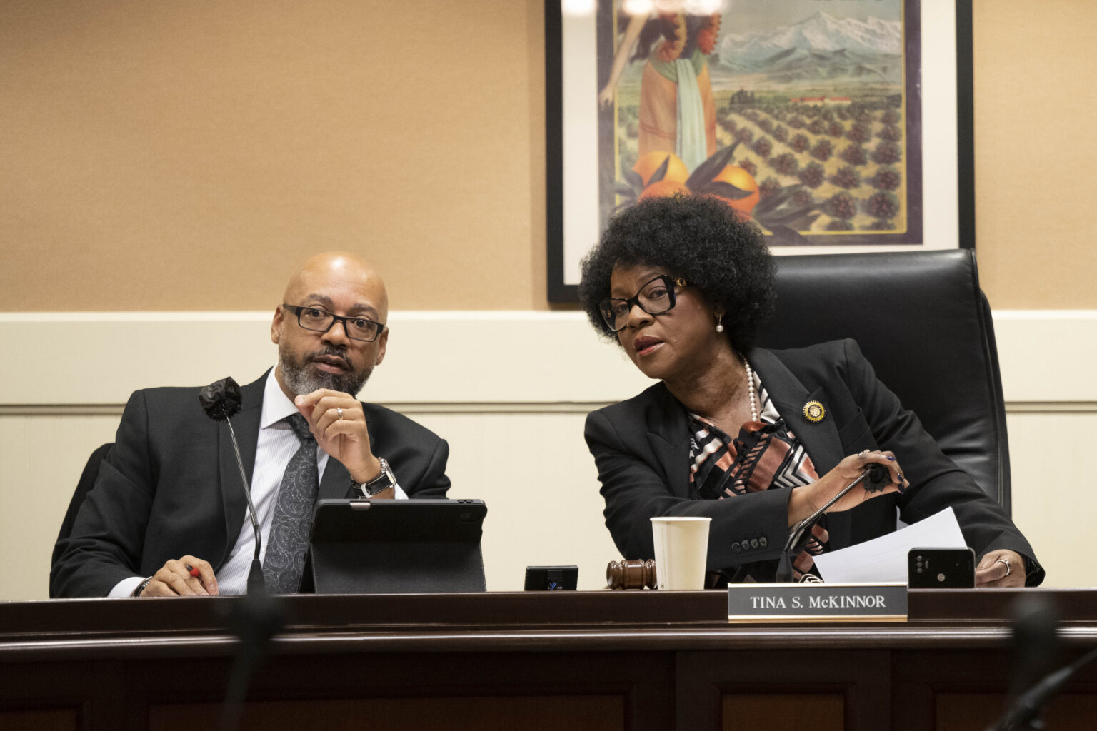 California Assemblymember Tina McKinnor presided over her first hearing as chair of the Public Employees' Retirement System committee on March 22, 2023.