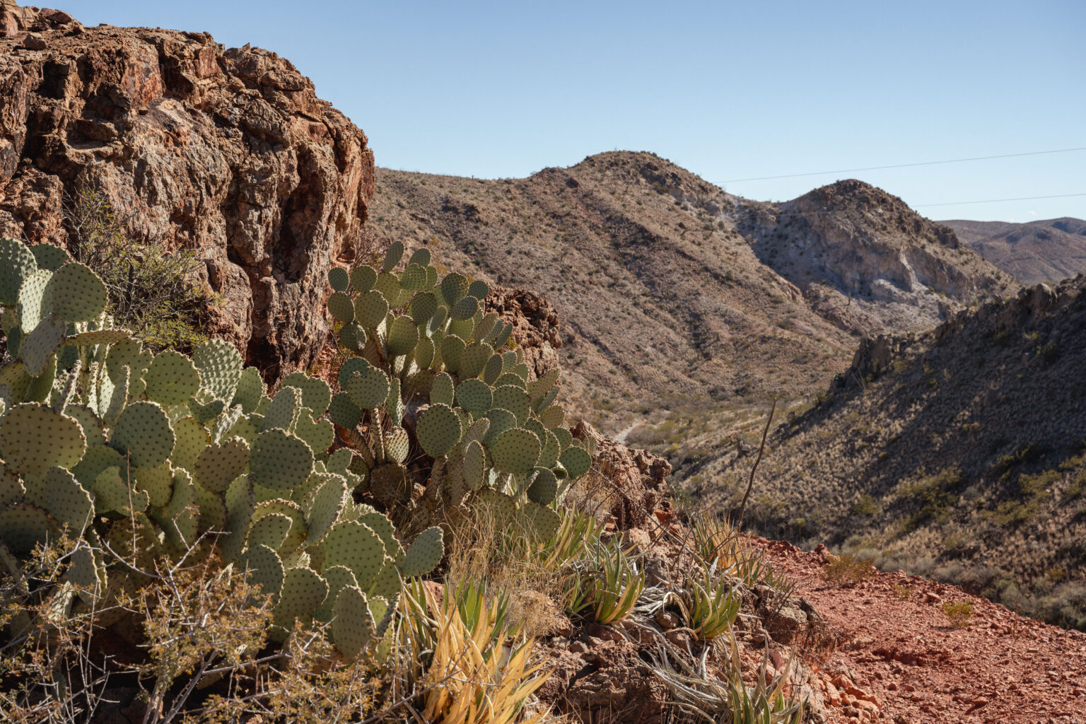 Cactus line the edge of a dirt road along the red and tan mountains of west Texas.