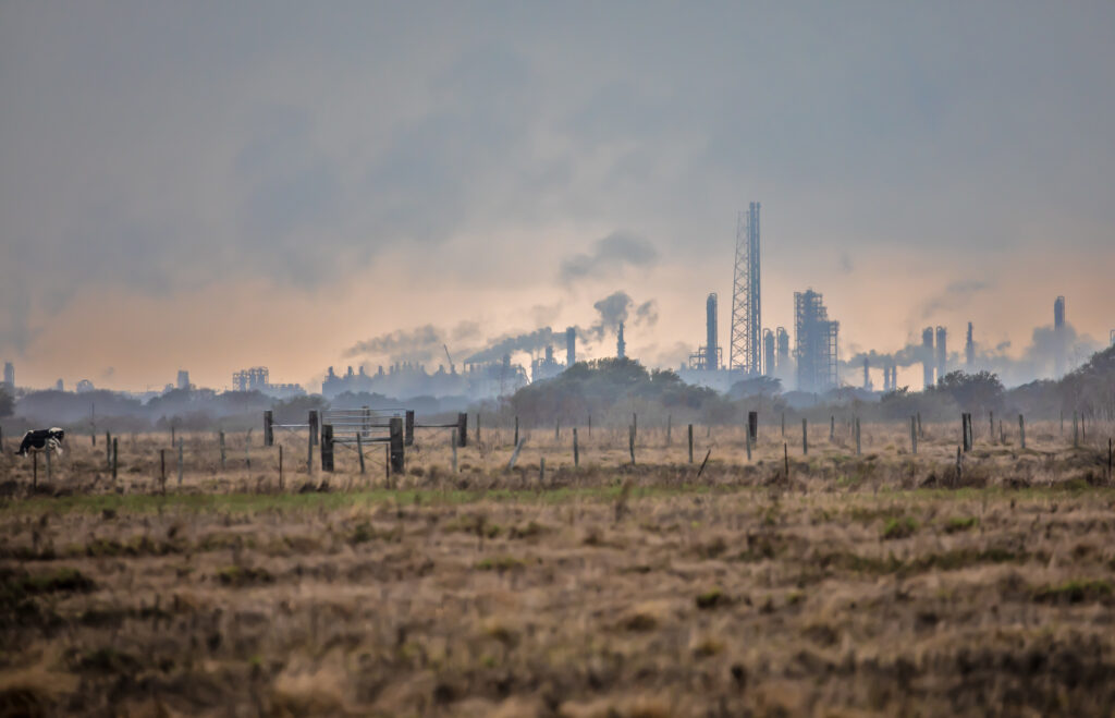 Hazy gray and pale orange sky with outline of industrial Formosa plastics manufacturing facility. A cow stands at the left in a dry grass field in the foreground.