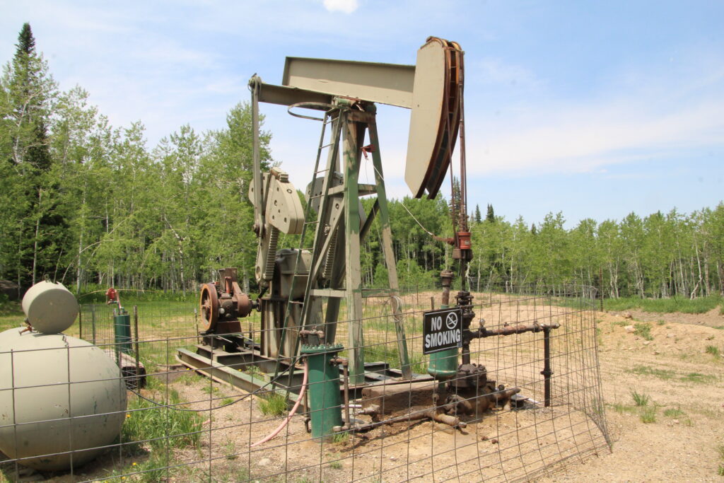A buff-colored pumpjack surrounded by mesh fencing and young green pine trees.