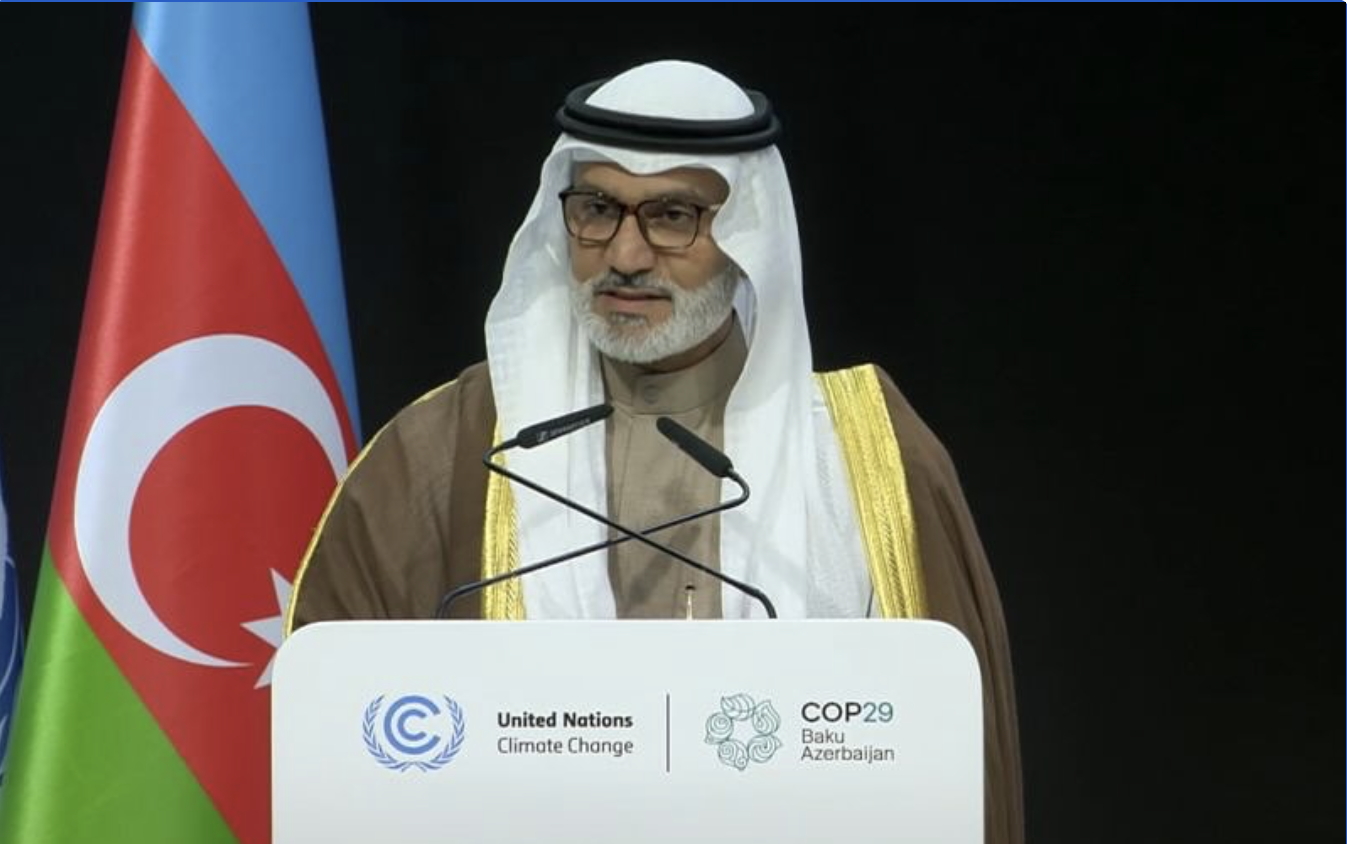 OPEC Projections on Future Oil Demand Overly Optimistic, Experts Warn