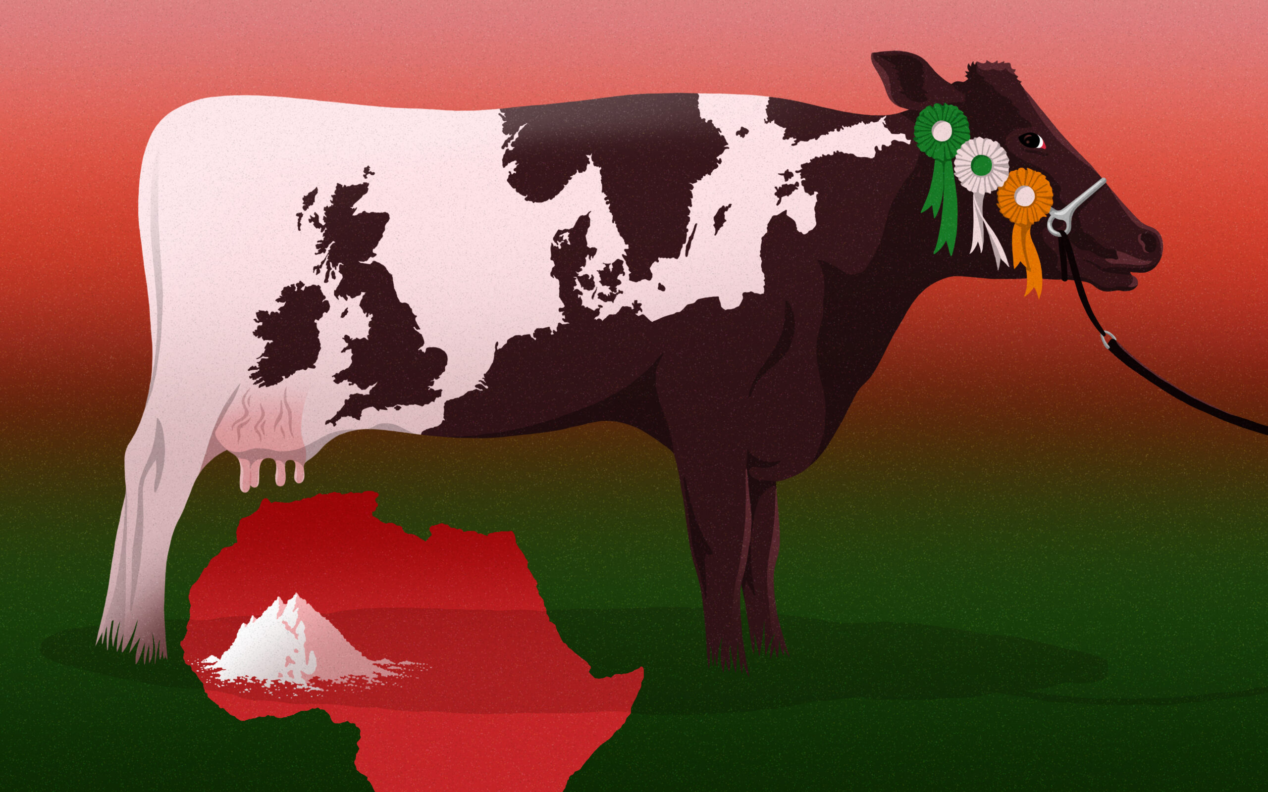 How Ireland’s ‘Mediocre’ Milk Powder Made it Big in West Africa