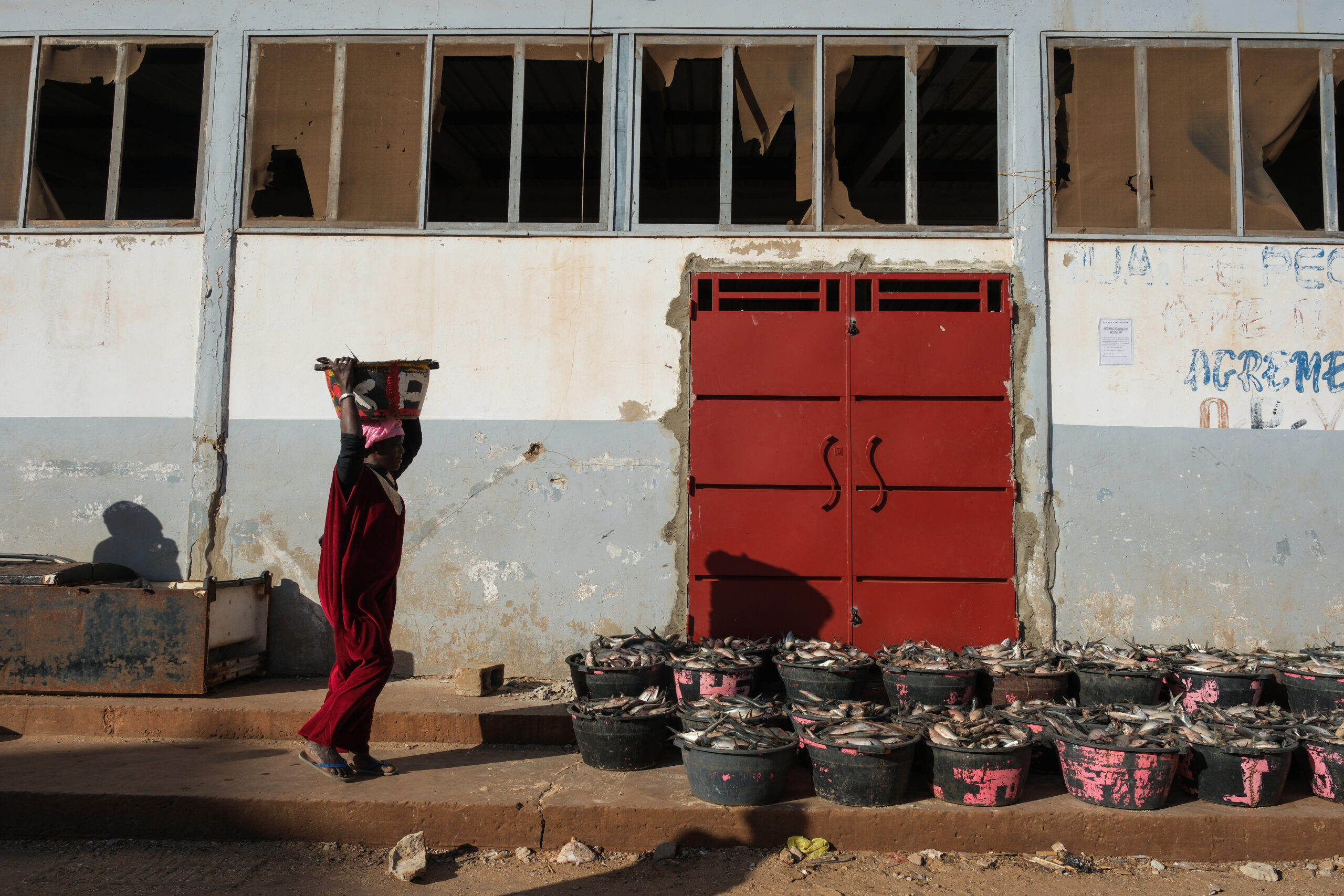 How farmed fish in Dutch supermarkets undermines food security in West Africa