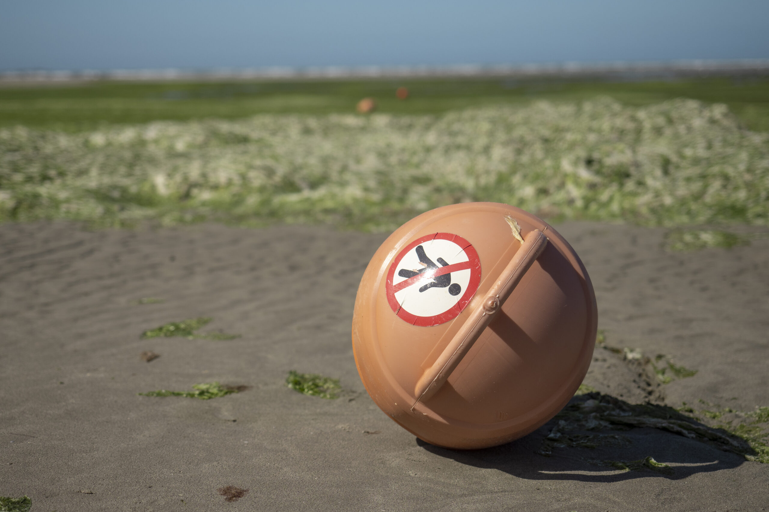 In Pictures: ‘Armageddon’ at Europe’s Swim Spots…