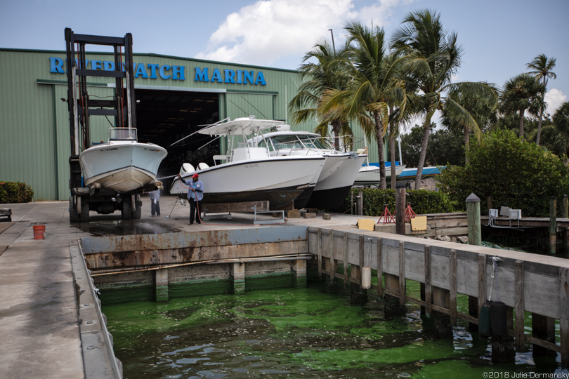 Cyanobacteria, or blue-green algae, in the water at the Sovereign Yacht Sales along the St. Lucie River in Stuart, Florida