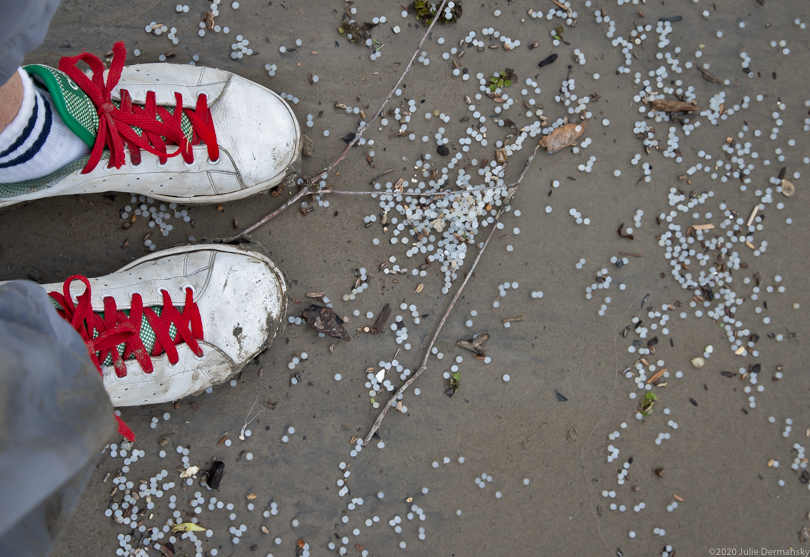 Nurdles washed up on the Mississippi River banks, by the photographer's shoes