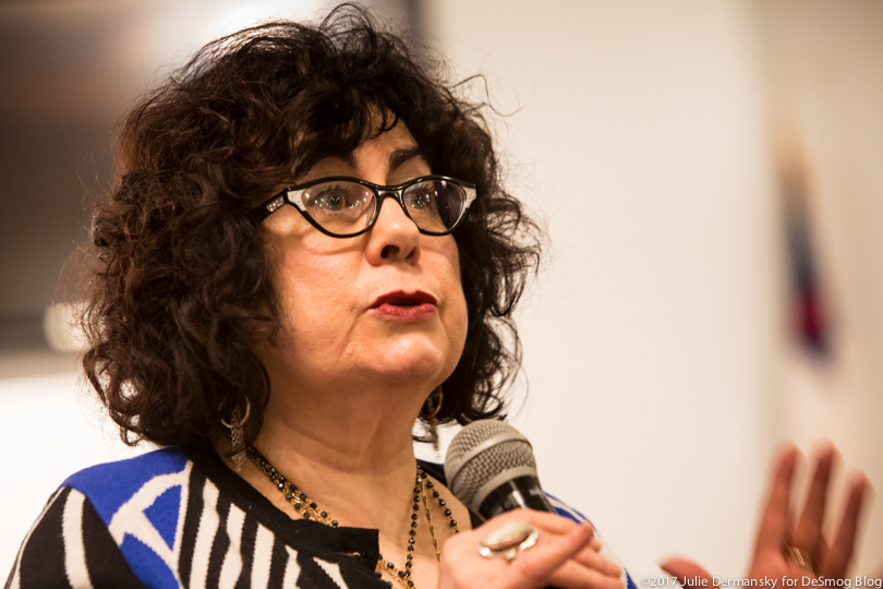 LEAN director Marylee Orr speaks at a community meeting in St. Gabriel