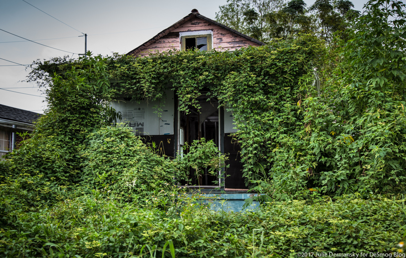 Abandoned home from Hurricane Katrina overgrown with weeds and vines