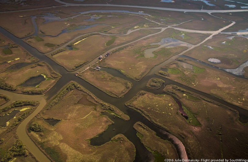 Aerial view of the canals still crossing Golden Meadow, Louisiana.