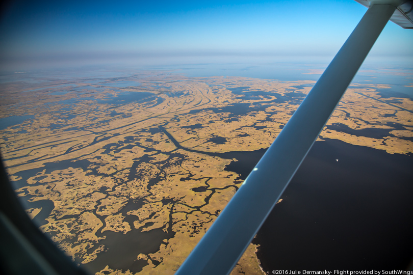 An aerial view of Terrebonne Parish's disappearing coastal wetlands.