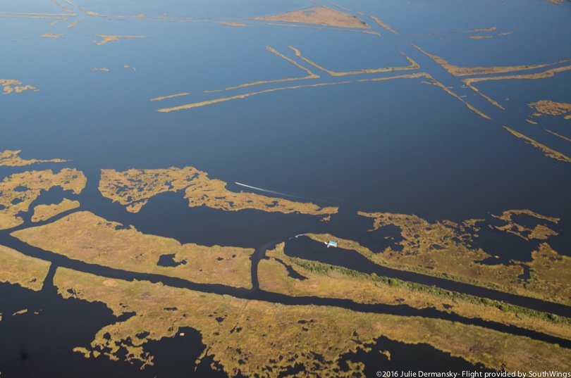 The heavily eroded coastal areas of Lafourche Parish, Louisiana.