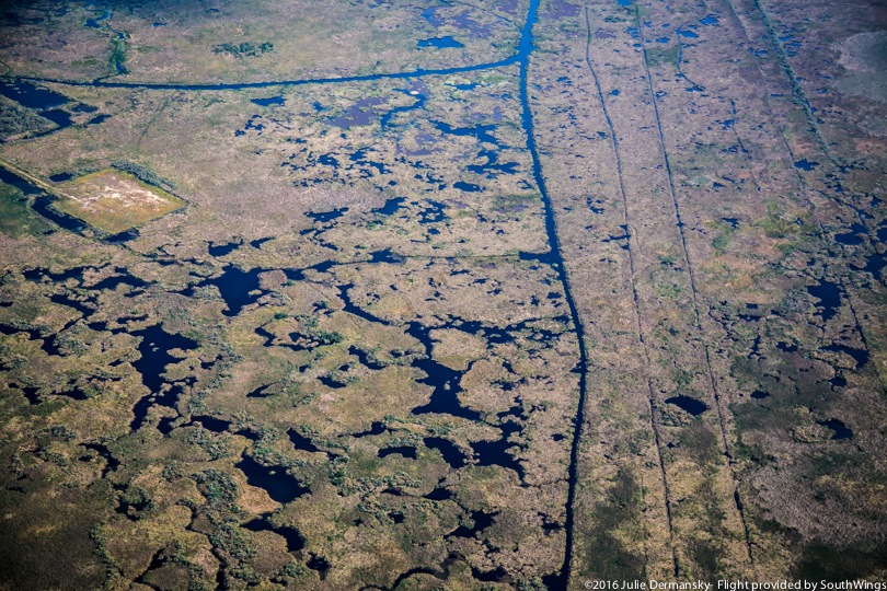 The straight lines of human activity cross Terrebonne Parish's eroding coastal wetlands.