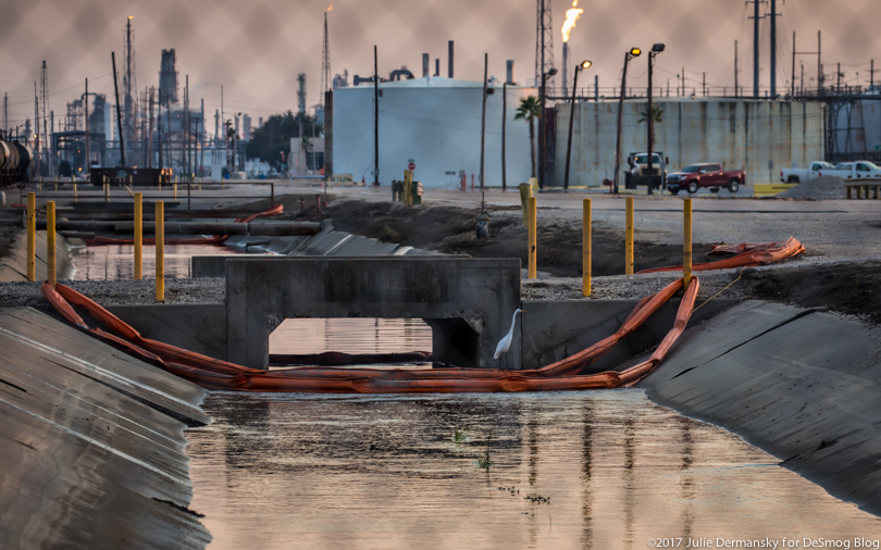 A wading bird perches on oil containment boom near Motiva's Port Arthur refinery