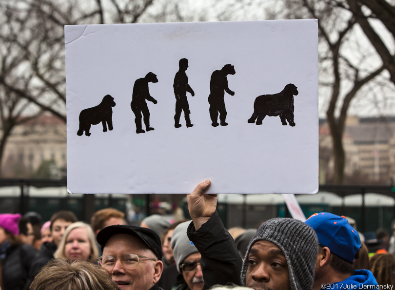 A male supporter at the Women's March holds a sign showing the 'development of man' and its devolvement.
