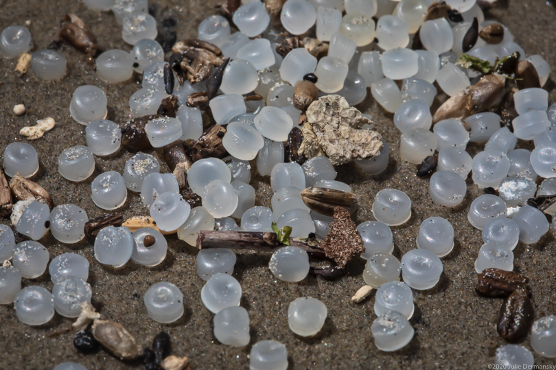 Nurdles on sandy bank of the Mississippi River in Chalmette, Louisiana