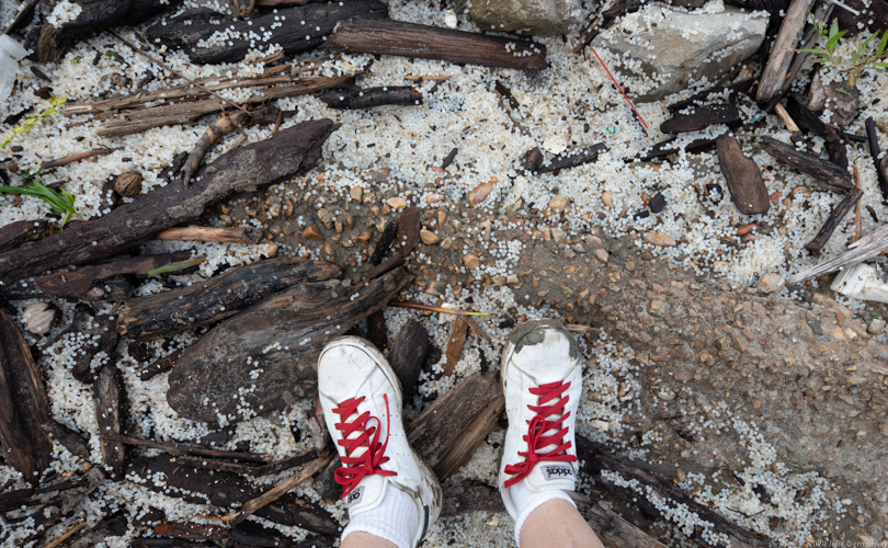 Nurdles under a wharf, next to the photographers shoes