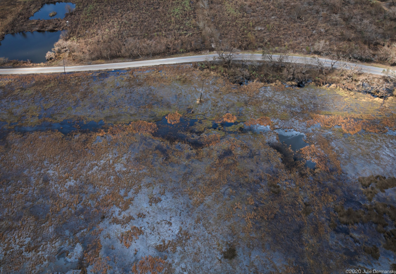 Oil sheen in Cameron Parish wetlands following Hurricane Laura.