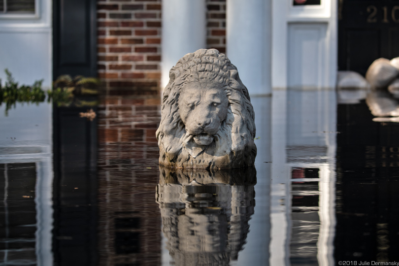 Lion sculpture in front of flooded home in South Carolina
