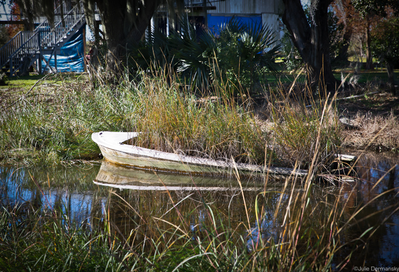 Grasses grow in an abandoned boat in a bayou on Isle de Jean Charles.