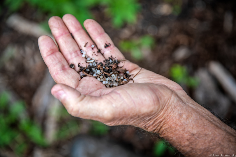 Ronnis Hamrick holding some of the countless nurdles littering the banks of Cox Creek near Formosa's Point Comfort plant