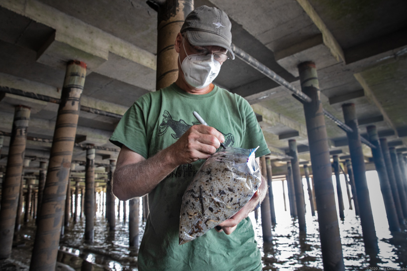 Plastic pollution expert Mark Benfield labels a bag of plastic pellets gathered for research from a Mississippi River bank