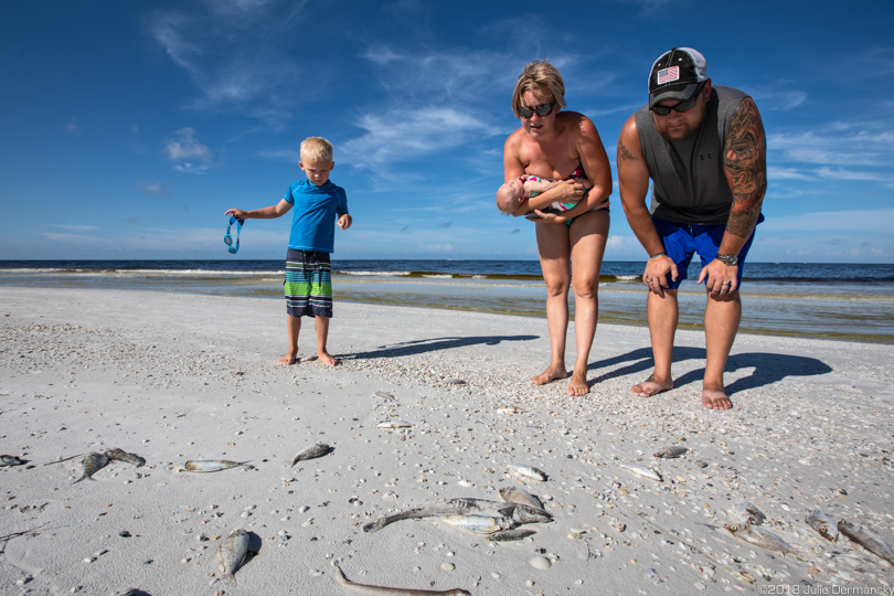 A couple with their young children on Siesta Key Beach, Florida