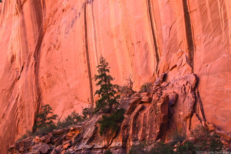 Red sandstone cliffs in an area cut from Grand Staircase-Escalante National Monument