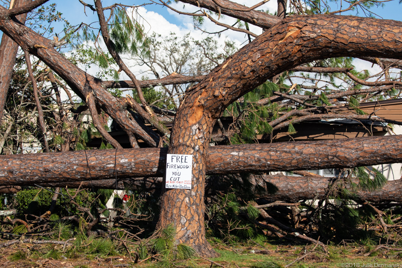 Sign on damaged trees reading 'Free firewood, you cut'