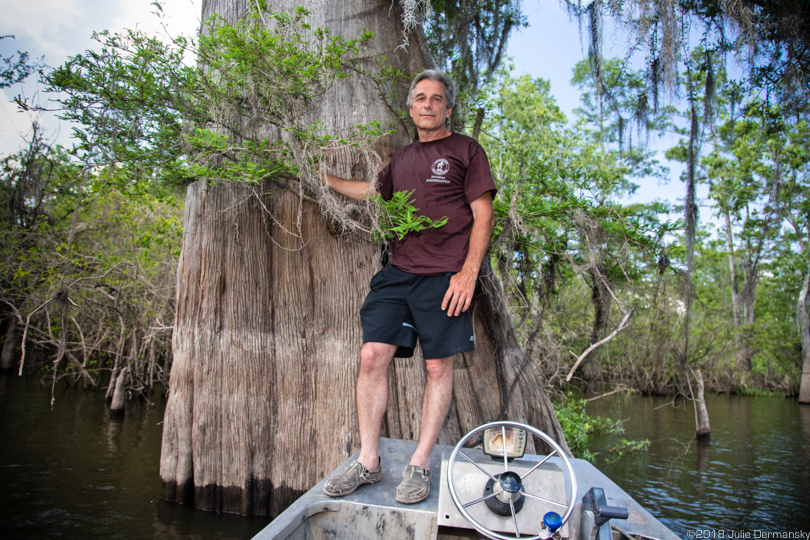 Dean Wilson standing next to a large old growth cypress tree in Atchafalaya Basin in May 2018