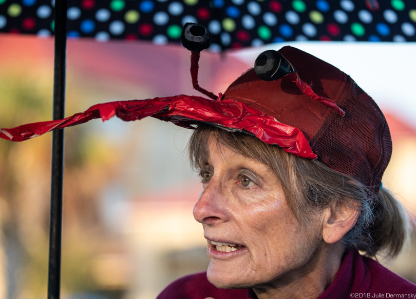 Anti-pipeline protester Renate Heurich