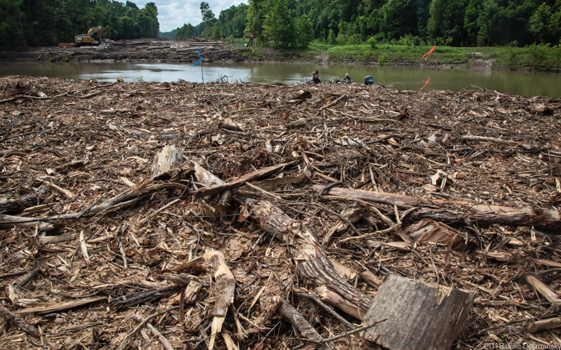 View of the Bayou Bridge pipeline right-of-way from the banks of Bayou Chene in the Atchafalaya Basin on July 5.