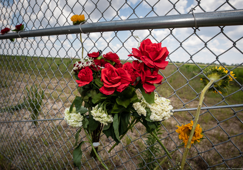 Roses left behind on the fence surrounding the burial ground on the Formosa plastics site