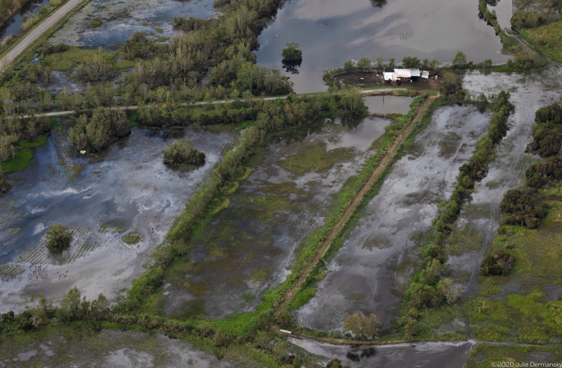 Oil sheen in Vermilion Parish, Louisiana, after Hurricane Laura.