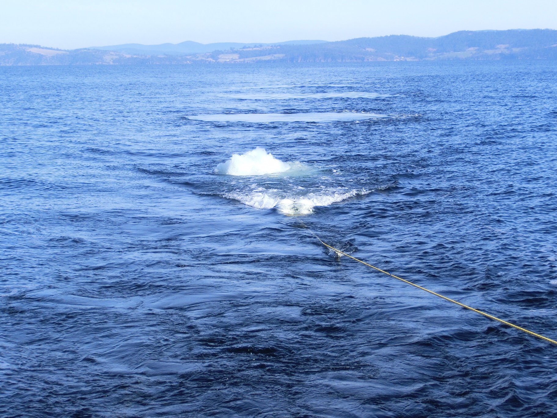 Air gun being pulled underwater behind a boat in Tasmania