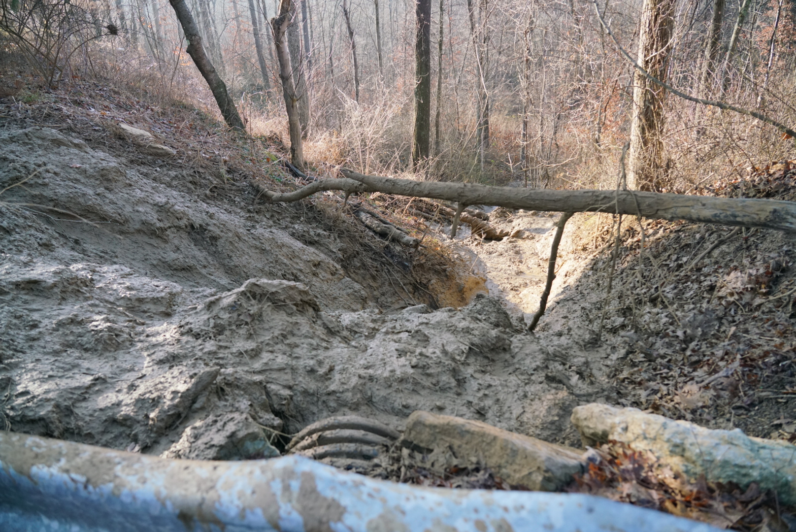 Ditch leading to Wolf Run Creek in Ohio