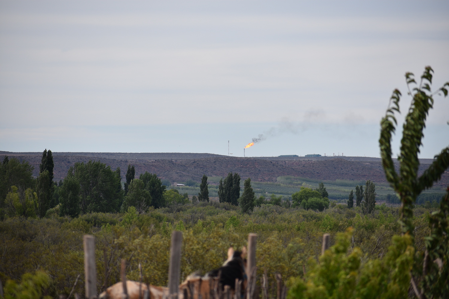 Flare visible from Mapuche land