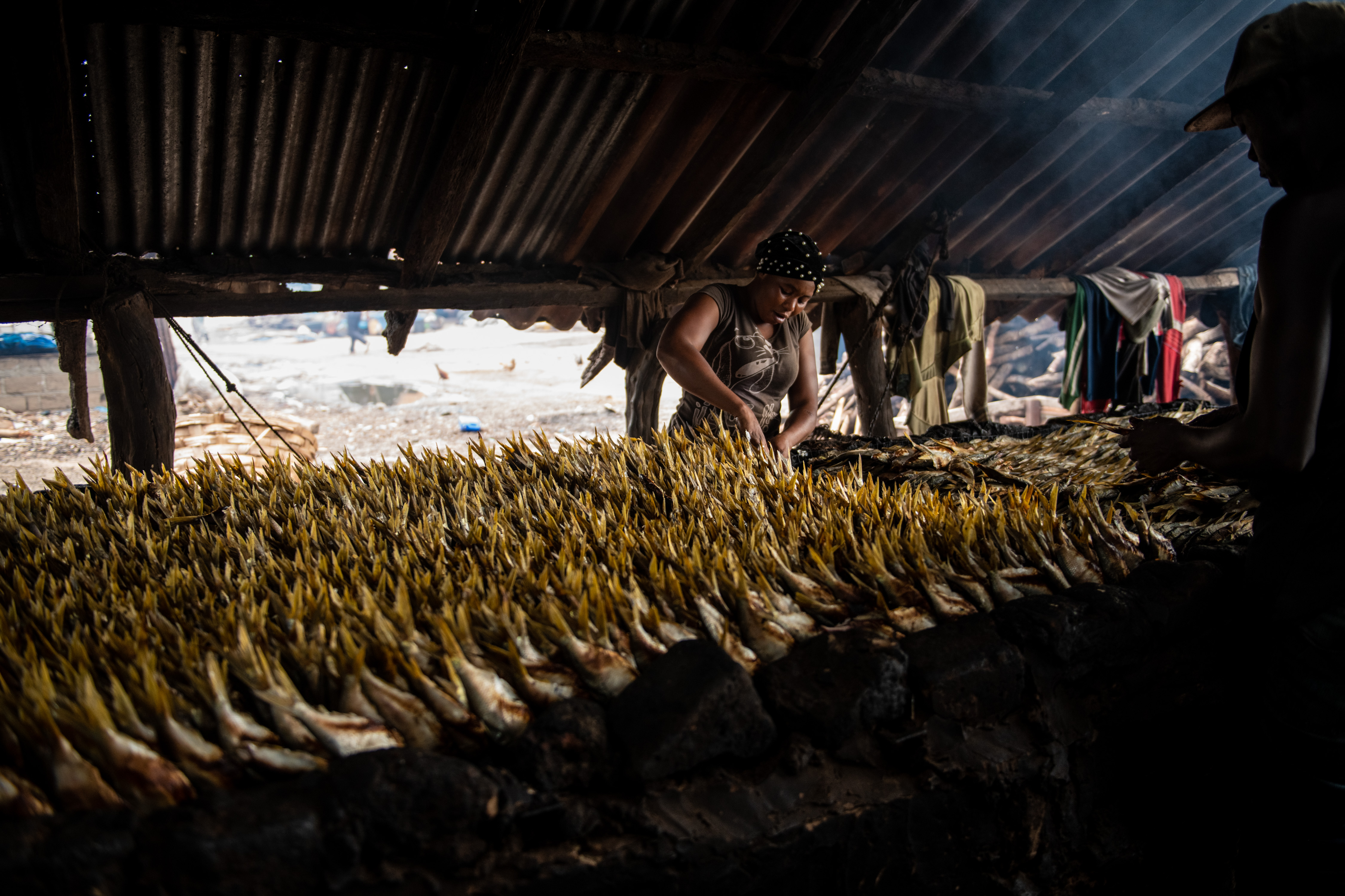 Woman and man sort dead fish on the Gambian coast