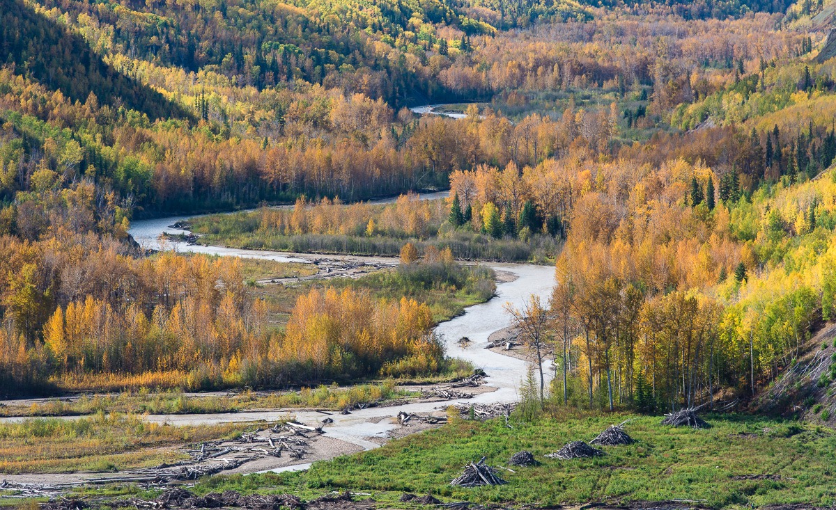 Moberly River